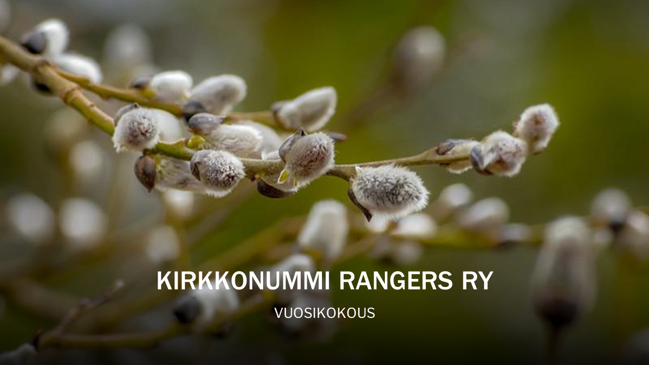 Featured image for “Kirkkonummi Rangers ry sääntömääräinen vuosikokous tiistaina 28.3.2023 klo 19.00”